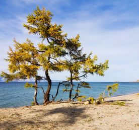 Классический тур на Байкал.