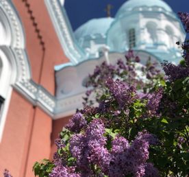 Карелия. Увидеть всё!