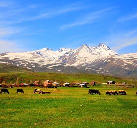 ЕШЬ, МОЛИСЬ, ЛЮБИ В АРМЕНИИ
