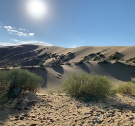 Дагестан на 100% (5 дней)