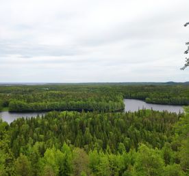 Сплав по реке Тумча