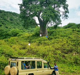 От горы Килиманджаро до озера Виктория! Самое необычное и зрелищное сафари!