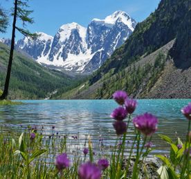 Шавлинское зазеркалье, пеший поход с вьючными лошадьми.