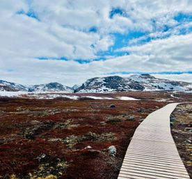 В Поисках Китов: Мурманск - г. Кола - Абрам мыс - Долина Славы - Териберка - Мурманск