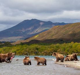 Тур на Камчатку!