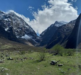 Новогодние каникулы
