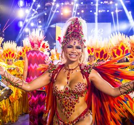 Вместе на карнавал в Бразилию(уже включены перелеты по программе!)