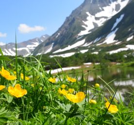 Чарующая Камчатка