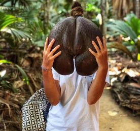 Райские Сейшелы на катамаране. Круиз для одиночных гостей и пар