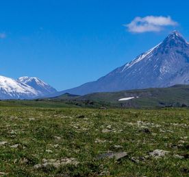 Вокруг Толбачиков