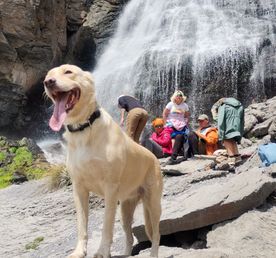 Полная перезагрузка. Твой Эльбрус. 5 дней не тяжелого трекинга (мини-группа)