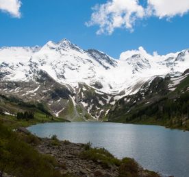 Пантовые ванны