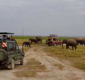 7-дневное сафари в Найроби, на озере Элементаита, на озере Накуру и Масаи-Мара