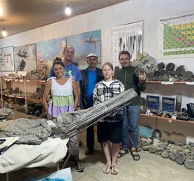 Аммониты Юрского и Мелового периодов