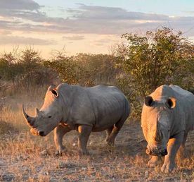 Экспресс-тур с личным гидом