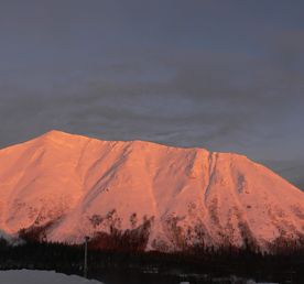 Путешествие к Северному Ледовитому океану.