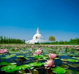 Индия + Непал. По следам Будды