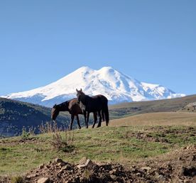 Архыз (Эльбрус) и Домбай в одном мега-путешествии! Индивидуально!