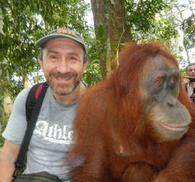 Орангутаны Борнео и Суматры