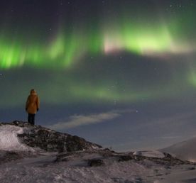 Териберка, Киты, Сияние, Баня, Крабы. Выбирай тур правильно!
