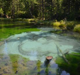 Знакомство с Алтаем.