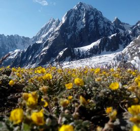 «Нангма и Таллай Ла Трек»