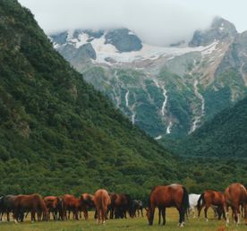 Однажды в горах Осетии и Ингушетии