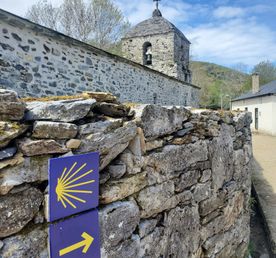 Путь Сантьяго (самостоятельно) + 5 путеводителей