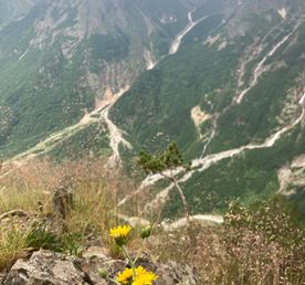 В горах мое сердце