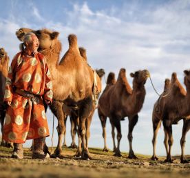 Северная Монголия: Экспедиция к оленеводам цаатан, яководам и на озеро Хубсугул