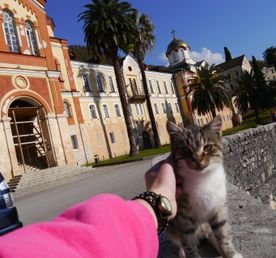 Самые красивые выходные в Абхазии