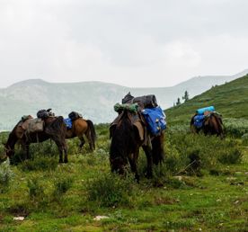 Конный тур к Каракольским озерам и нижняя Катунь
