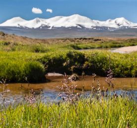 Непостижимое сердце Укока за 4 дня