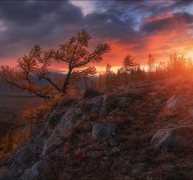 Алтай по маршруту National Geographic