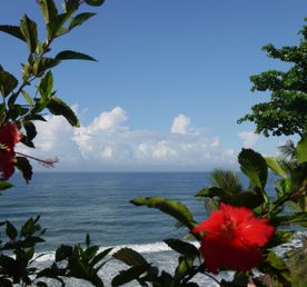 Тропическая Керала на Новый год