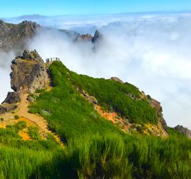 Мадейра - треккинги, океан и дельфины