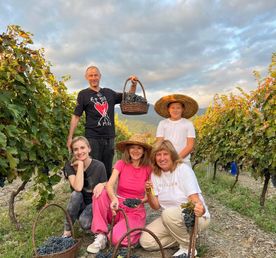 Ртвели В Винной Кахетии 2026  праздник сбора урожая