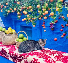 Марокко. Древнее Королевство с авиаперелётом из Москвы