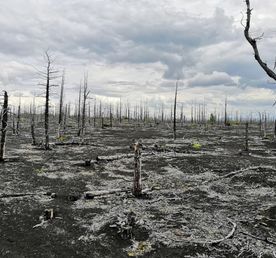 Джип тур к вулкану Толбачик