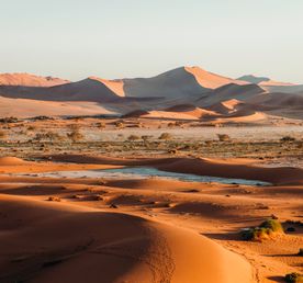 Джип-сафари: встреча с дикой природой Намибии