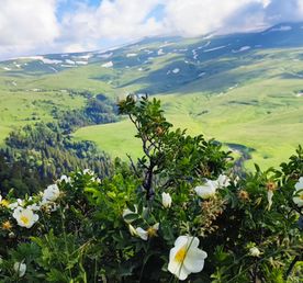 Relax в Адыгее. Spa-тур и активити