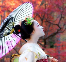 Япония. Красные клены