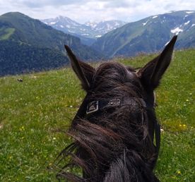 Конный тур в Адыгее. Зима, весна