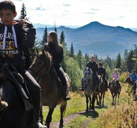 Конный тур Лесные сказки 7 дней/6 ночей