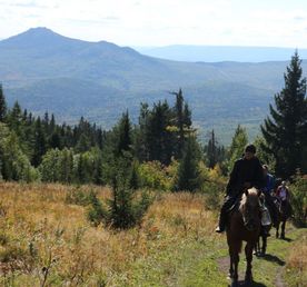 Конный тур Лесные сказки 4 дня/3 ночи
