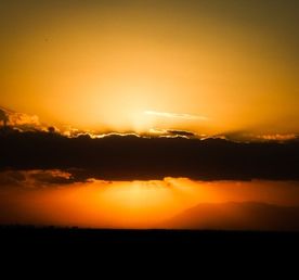 Кения. Африканская пятёрка