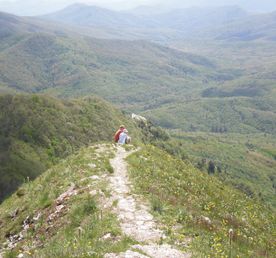 По горам из Краснодара в Геленджик