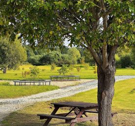 Четырёхдневный тур «Увидеть всё!»