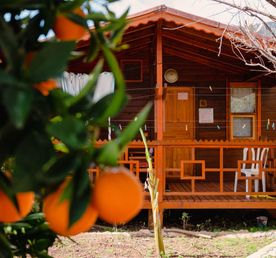 Трекинг тур Ликийская тропа в домиках