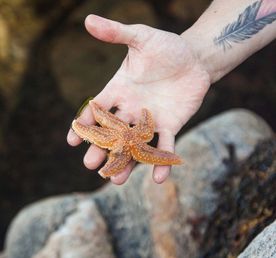 Соловки Где Природа Встречается С Историей